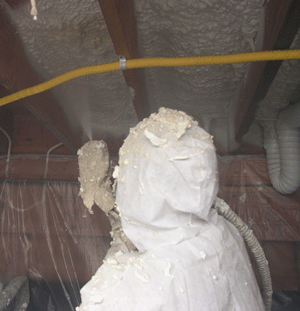St Petersburg FL crawl space insulation